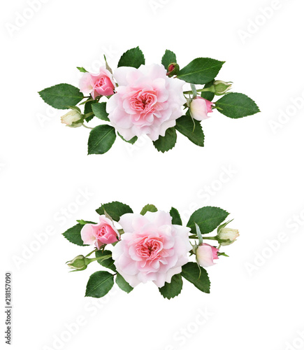 Set of pink rose flowers in a floral arrangements