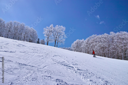 ゲレンデを滑るスノーボーダー