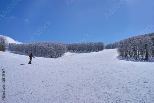 ゲレンデを滑るスノーボーダー