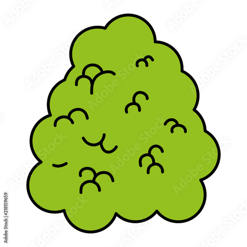 color ecology bush leaves nature plant