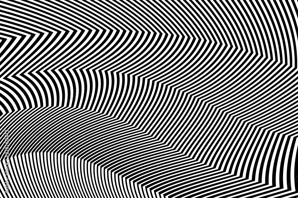 Zebra Design Black and White Stripes Vector Zebra Design Black and White Stripes Vector