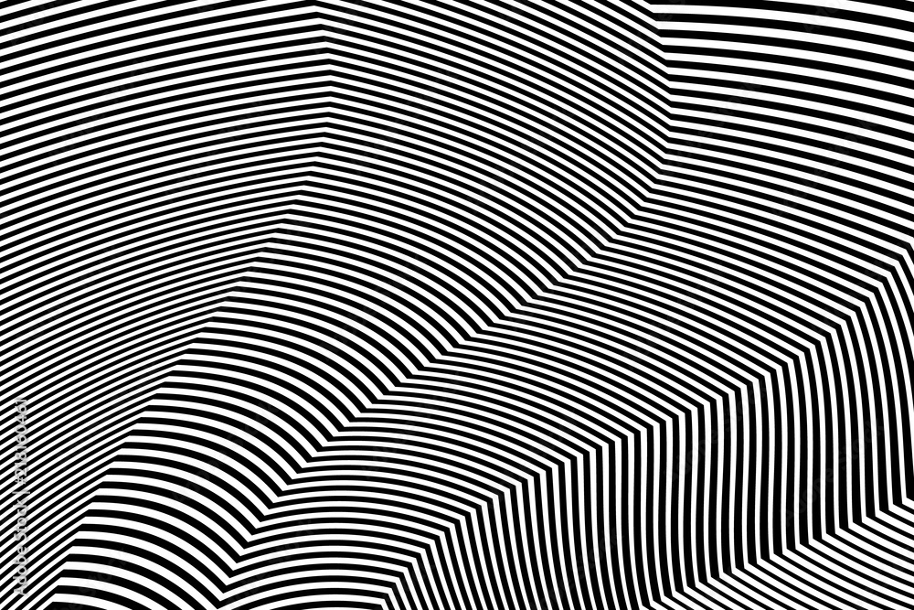 Zebra Design Black and White Stripes Vector Zebra Design Black and White Stripes Vector