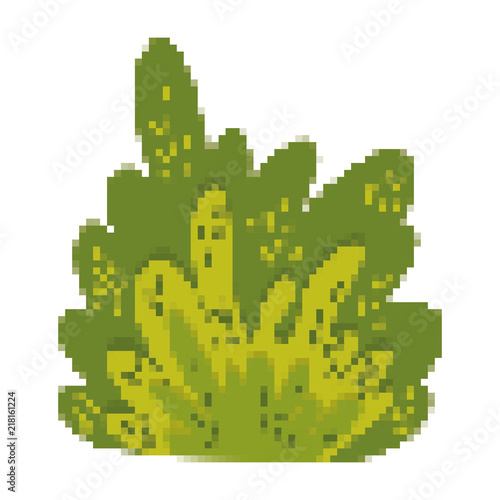 pixelated tropical brsu leaves plant