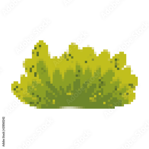pixelated exotic bush leaves plant