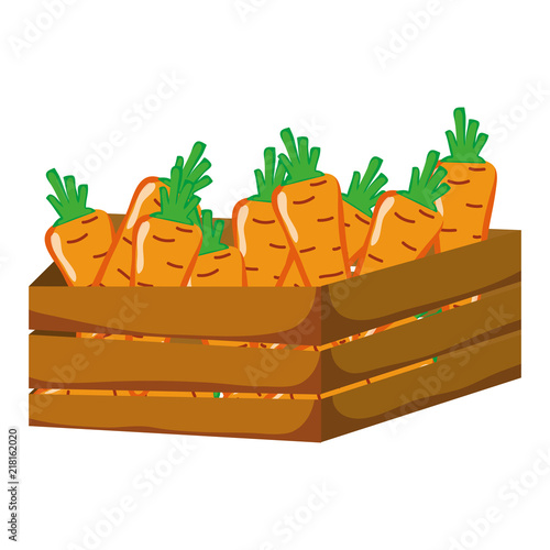 healthy carrot vegetables inside wood basket