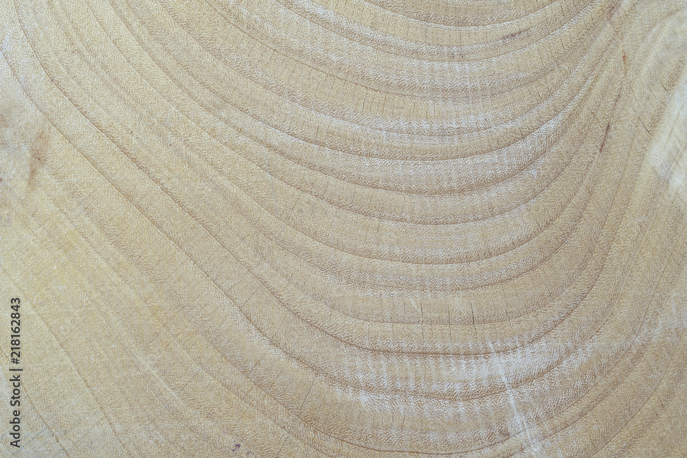 Naklejka premium Close up of annual rings natural texture background
