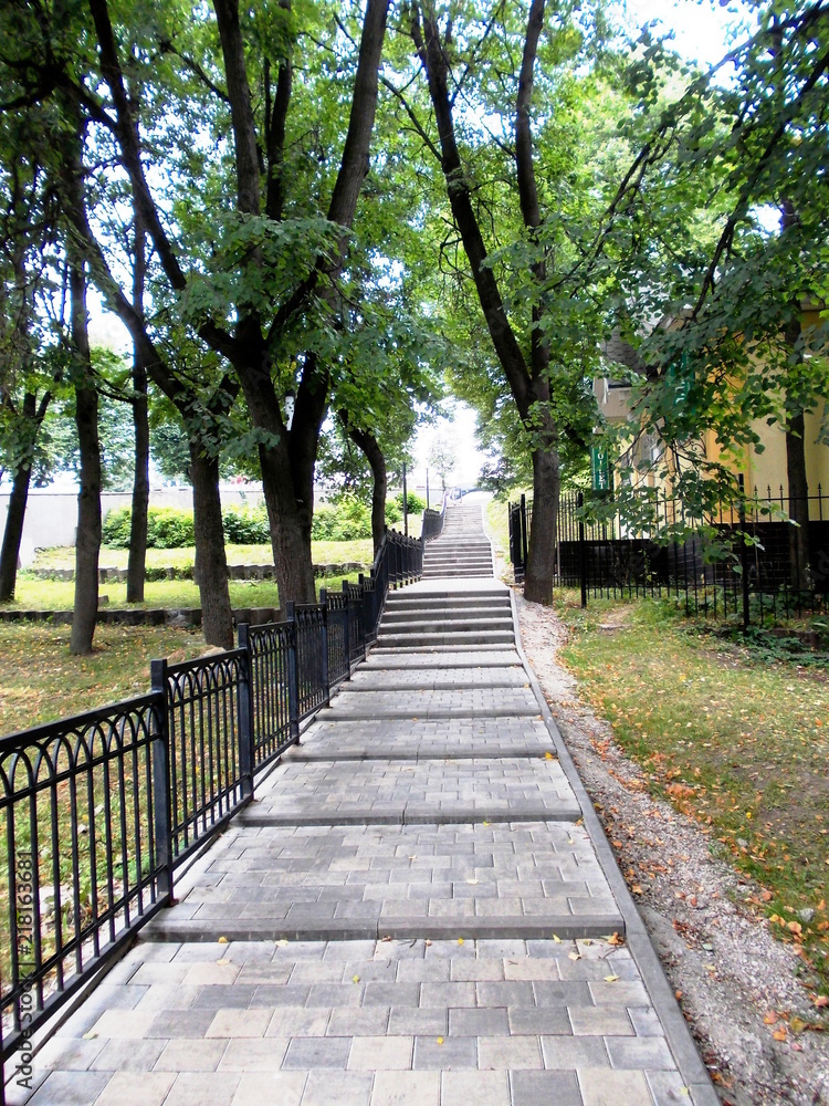 Obraz premium парк