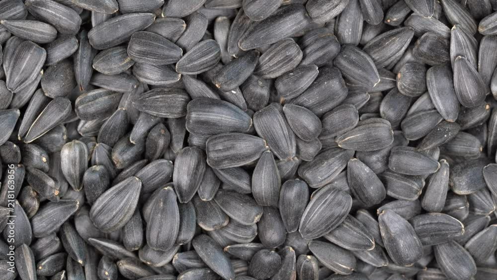 Sunflower seeds close up rotation loopable 4k top view. Food background. Gastronomy concept, organic food. Macro sunflower seeds Sunflower seeds close up rotation loopable 4k top view. Food background. Gastronomy concept, organic food. Macro sunflower seeds