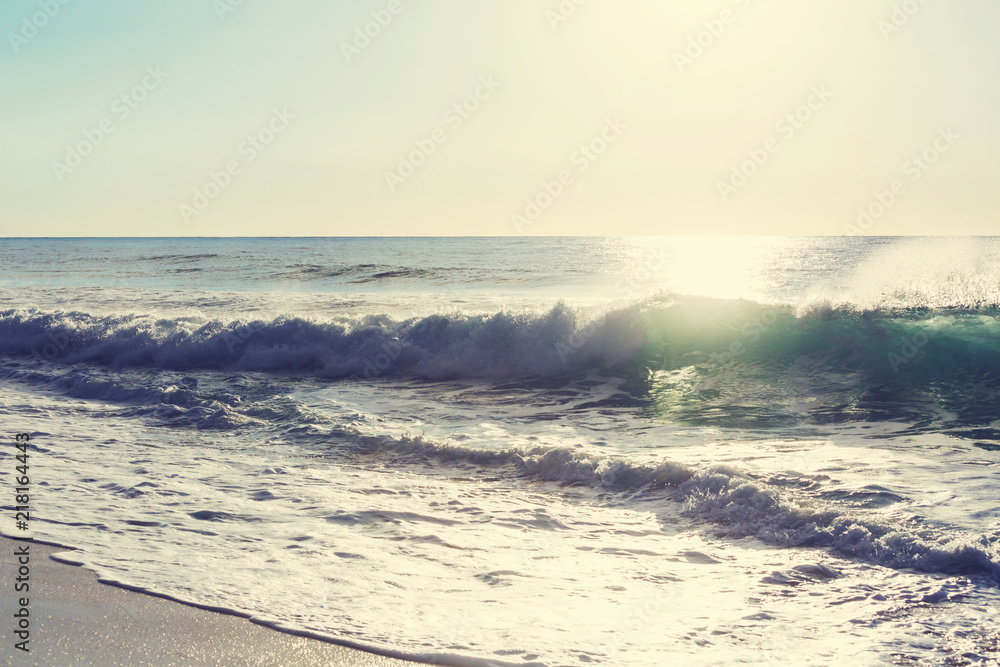 Fototapeta premium Wave