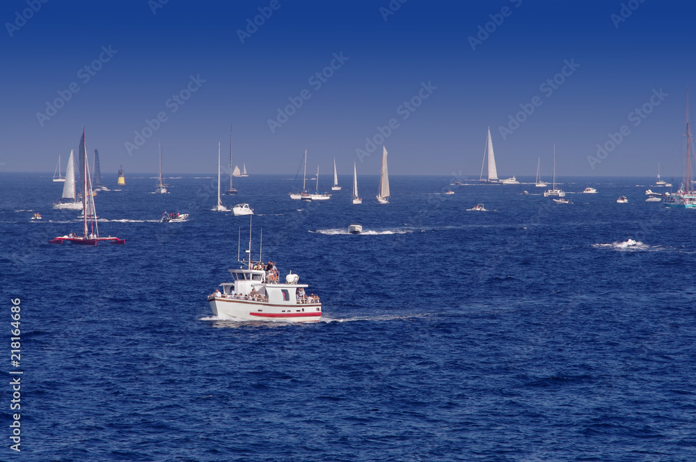 Fototapeta premium sail boats in Saint Tropez, France