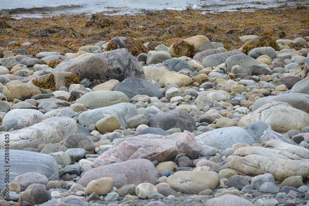 Fototapeta premium nord91