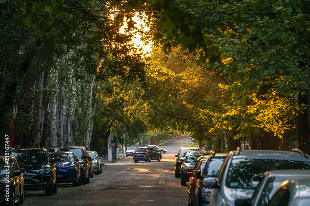 Obraz premium road