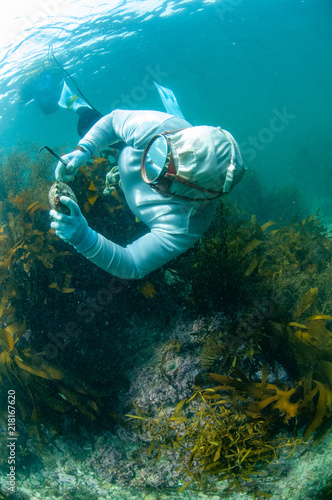 白い磯着でアワビを採る海女