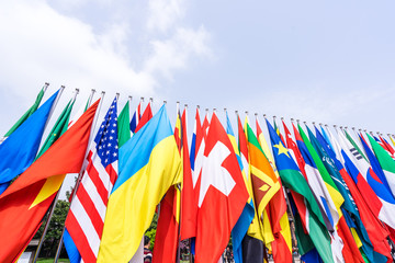 flag of the world
