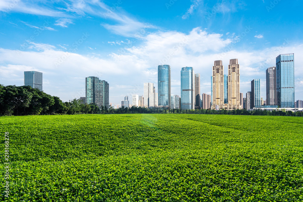 Fototapeta premium grass land in the park