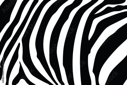 Zebra Stripes Pattern. Zebra print  animal skin  tiger stripes  abstract pattern  line background  fabric. Amazing hand drawn vector illustration. Poster  banner. Black and white artwork  monochrom