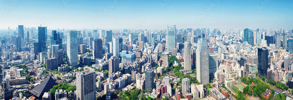 panoramic view to the Tokyo, Japan from air. Cityscape with many modern business buildings - obrazy, fototapety, plakaty 