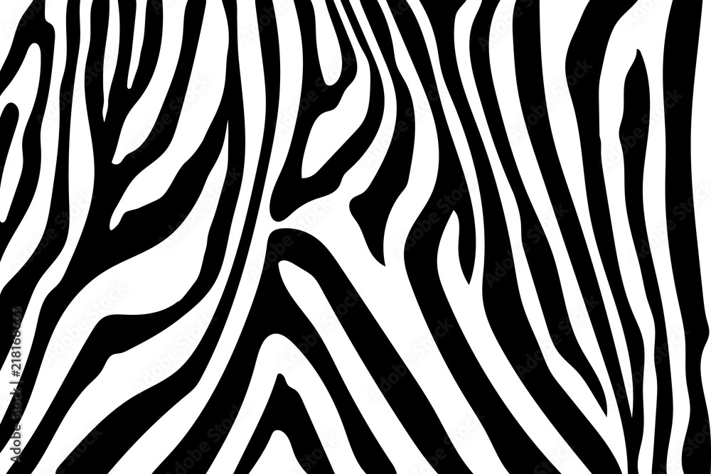 Zebra Stripes Pattern. Zebra print, animal skin, tiger stripes, abstract pattern, line background, fabric. Amazing hand drawn vector illustration. Poster, banner. Black and white artwork, monochrom Zebra Stripes Pattern. Zebra print, animal skin, tiger stripes, abstract pattern, line background, fabric. Amazing hand drawn vector illustration. Poster, banner. Black and white artwork, monochrom