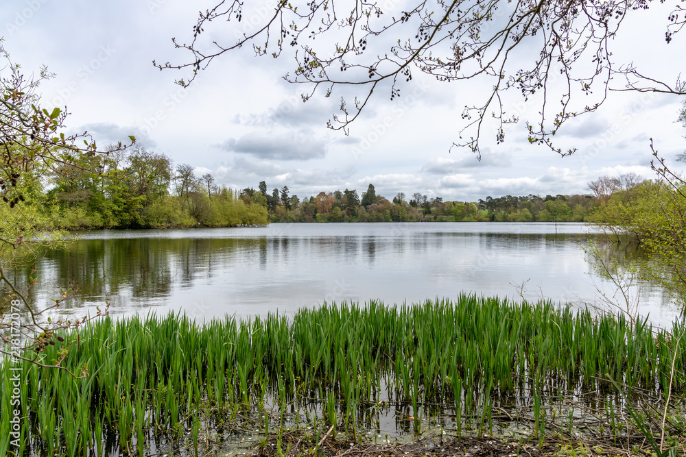 Obraz premium View over the Mere, near Ellesmere, Shropshire, UK