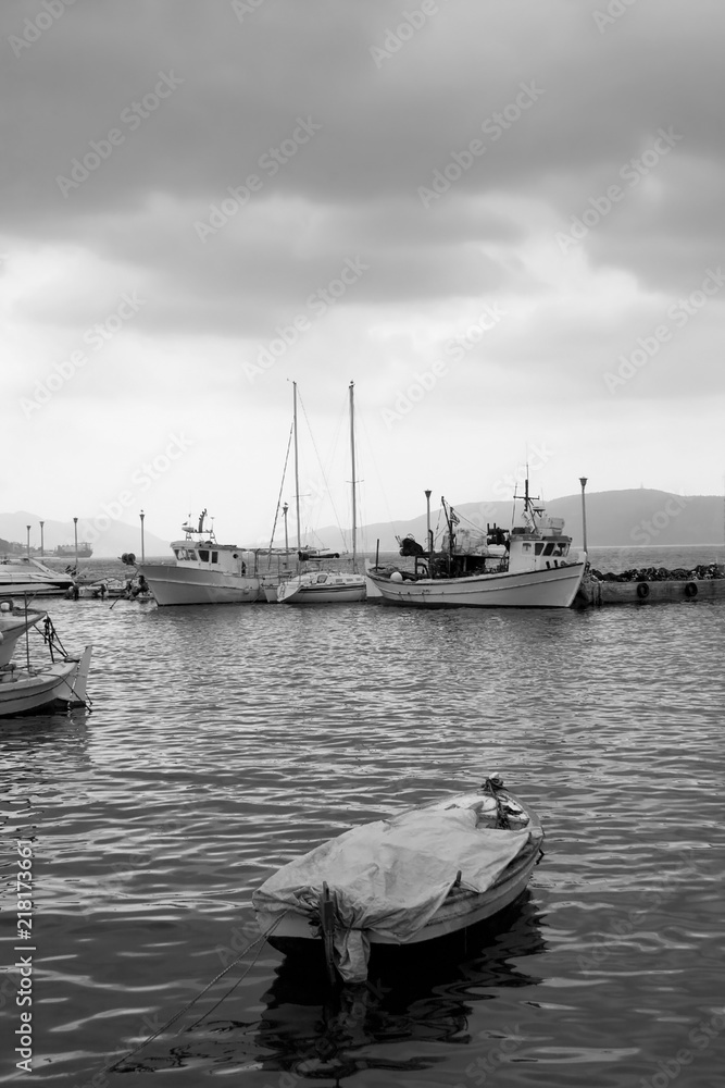 Obraz premium IMG_2750