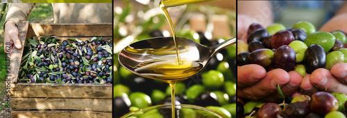 Photo composition of Italian oil and olives, concept of bio food and genuine food