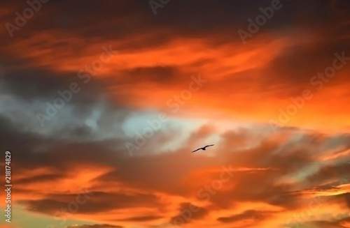 Bird flying high in a red sky at sunrise © Stratos Giannikos