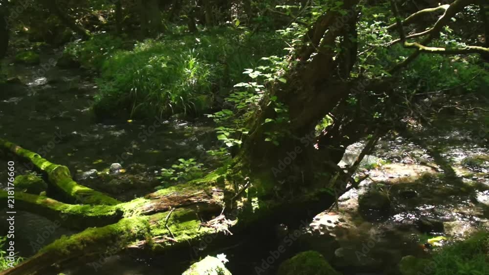 山吹水源 山吹水源