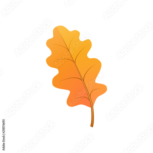Bright orange oak leaf isolated on white