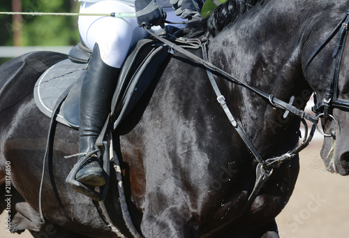 Obraz na płótnie Equestrian sport in details. Sport horse and rider on gallop w salonie