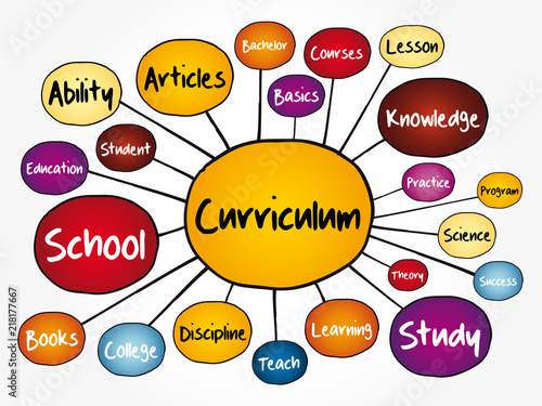 Curriculum mind map flowchart, education concept for presentations and reports