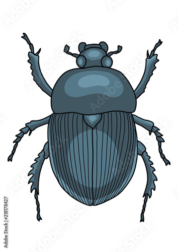 Scarab illustration, doodle, cartoon, drawing, ink, line art, vector © jenesesimre