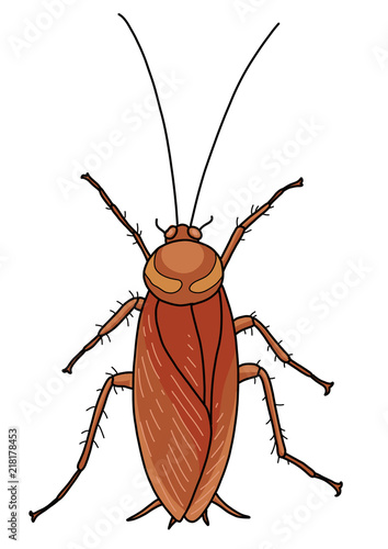 Cockroach illustration, doodle, cartoon, drawing, ink, line art, vector