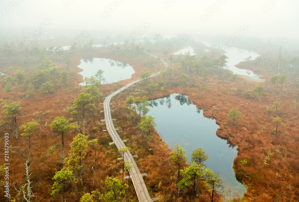 Top view of Kemeri National park in Latvia. Northern Europe