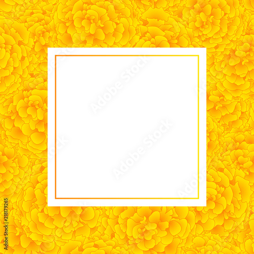 Fototapeta Naklejka Na Ścianę i Meble -  Yellow Marigold Banner Card