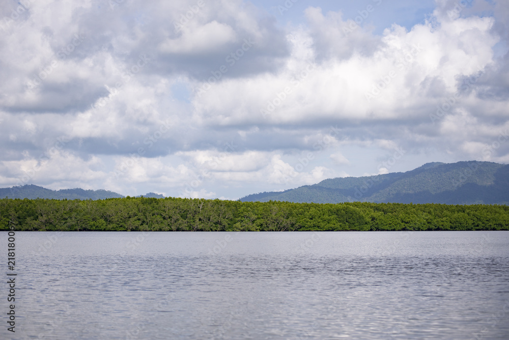 Plenary mangrove forest grow beside the river. Plenary mangrove forest grow beside the river.