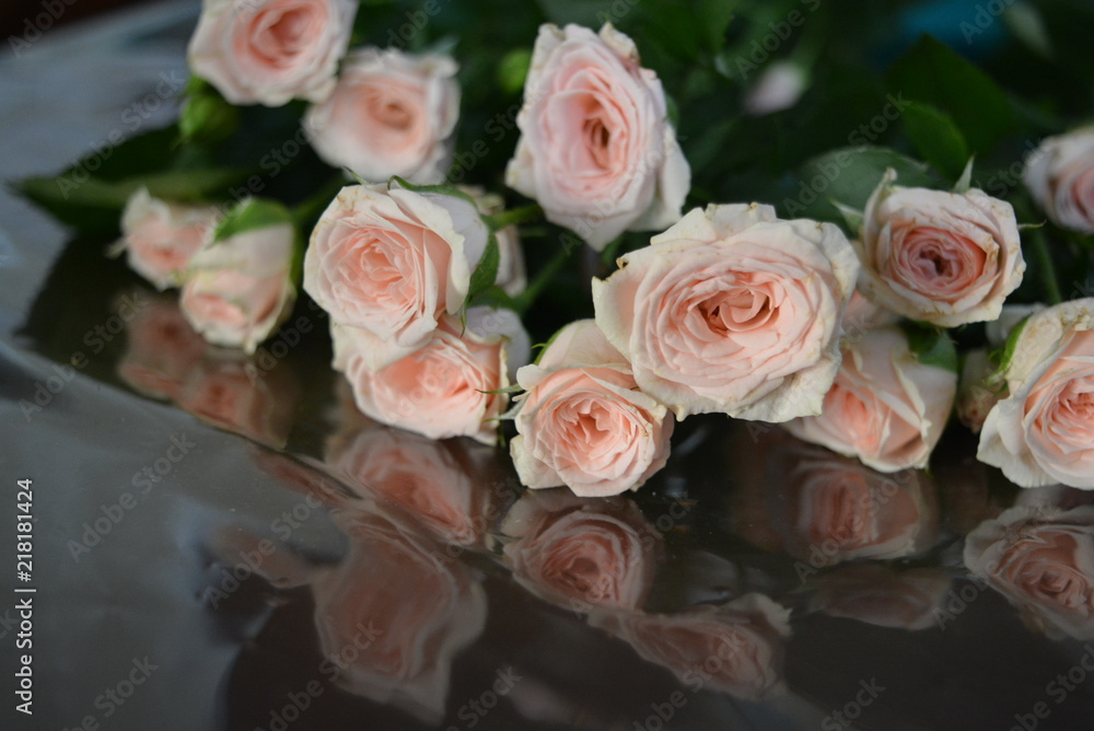 Natural fresh chic rose pink cream color on a brown surface with a reflective film