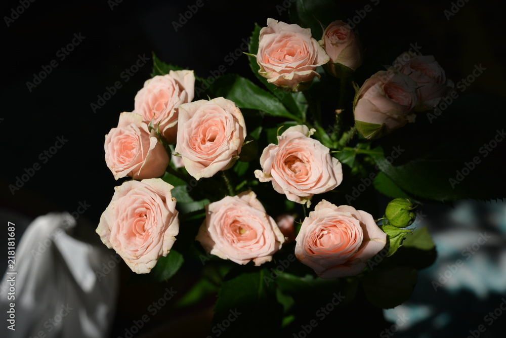 Lot of elegant yellow pink small roses with green leaves on a black background