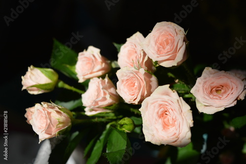 Lot of elegant yellow pink small roses with green leaves on a black background