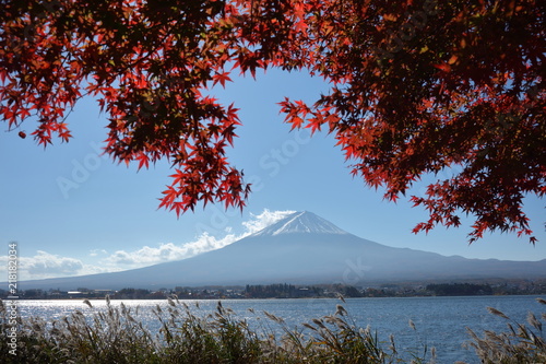 富士山と紅葉 © JC.H