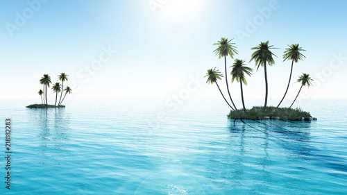 Group of palms on a small island