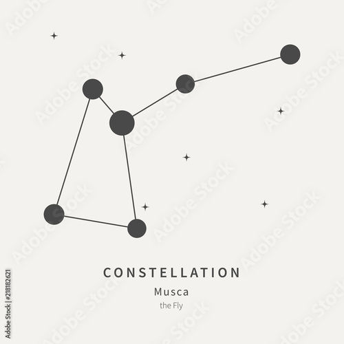 The Constellation Of Musca. The Fly - linear icon. Vector illustration of the concept of astronomy. photo
