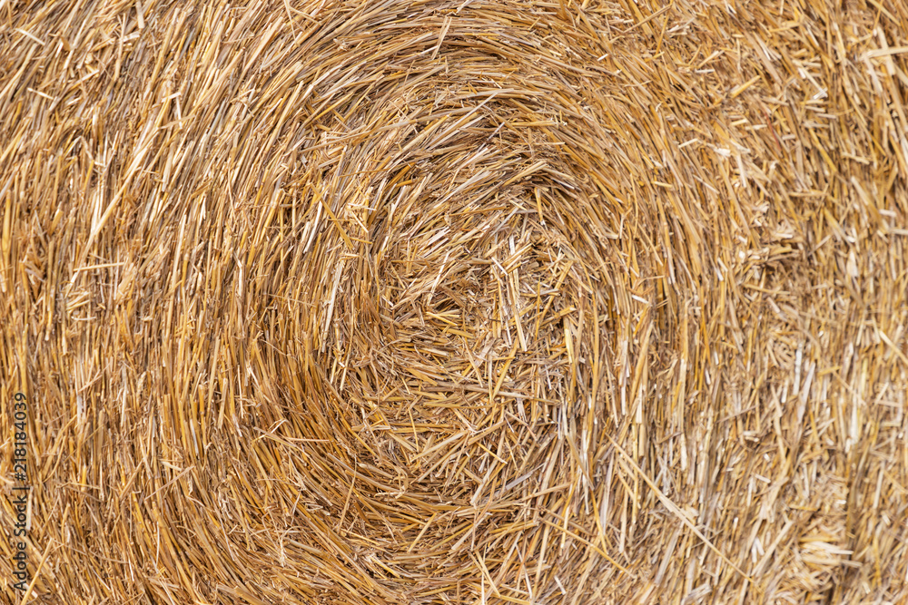 Straw texture for the background. Close-up. Abstract natural pattern Straw texture for the background. Close-up. Abstract natural pattern