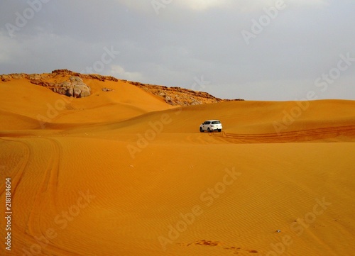 Desert safari in Dubai