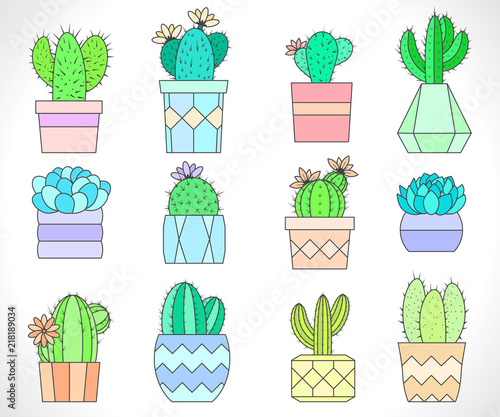 Vector set of cacti and succulents in flower pots. Flat style. Colored collection.