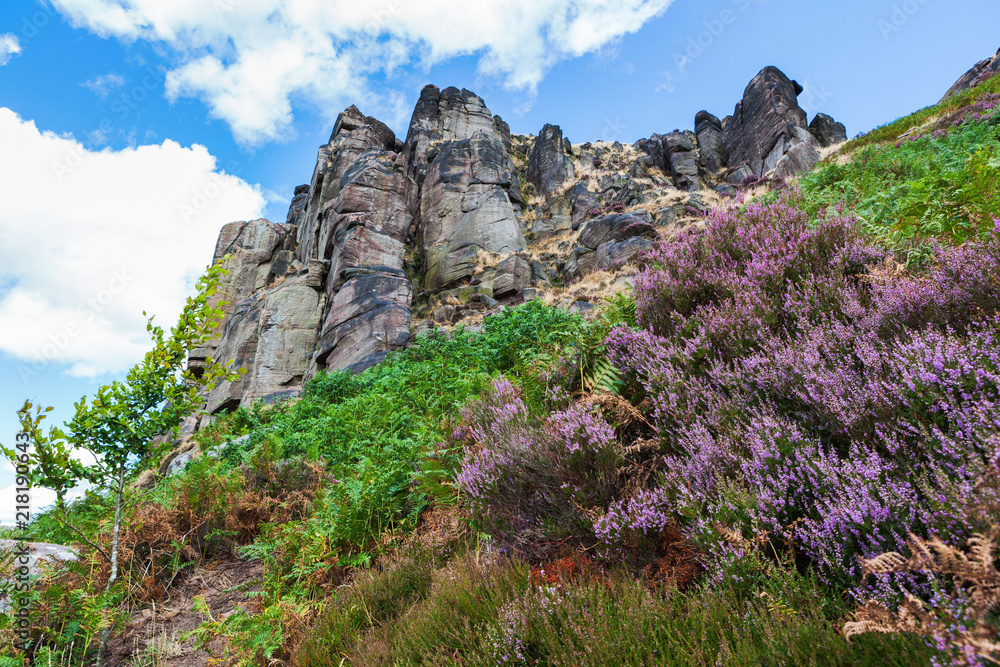 Rocks at the Roaches, Peak District National park, view of the stone hills and field, selective focus Rocks at the Roaches, Peak District National park, view of the stone hills and field, selective focus