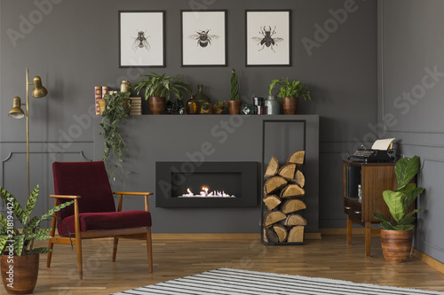 Plant next to red wooden armchair in grey living room interior with posters above fireplace. Real photo