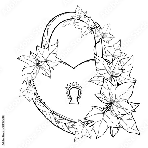 Vector padlock heart with outline bunch Ivy or Hedera vines. Ornate leaves of Ivy in black isolated on white background. Perennial climbing plant in contour for romantic design or coloring book.