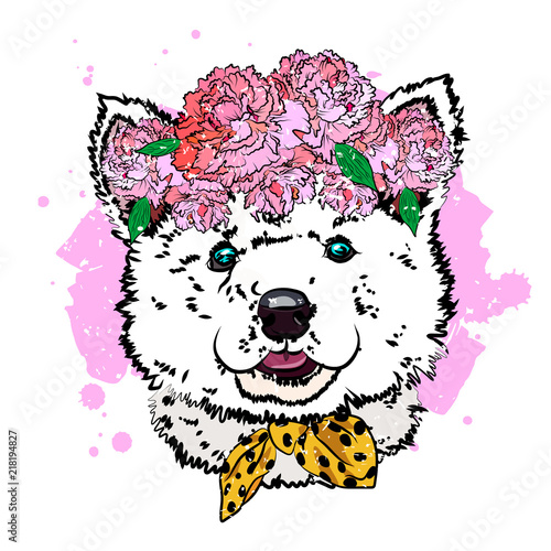 Puppy malamute in wreath of flowers.  Print with dog. Vector illustration.