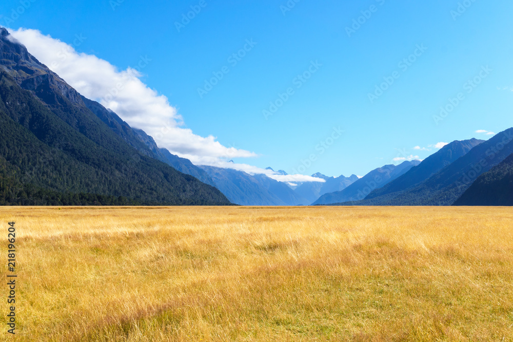 Obraz premium Golden field in mountain area