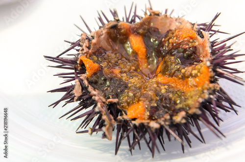 Close up of fresh caught sea urchins open on a white plastic plate. photo